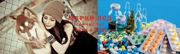 мескалин Аркадак