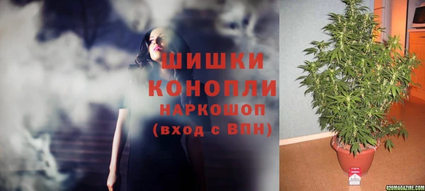 мескалин Арсеньев