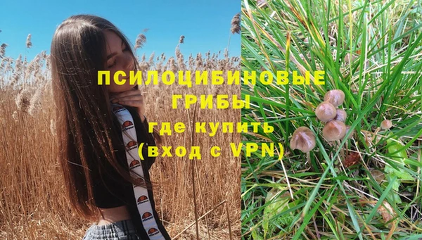 бутират Пестово