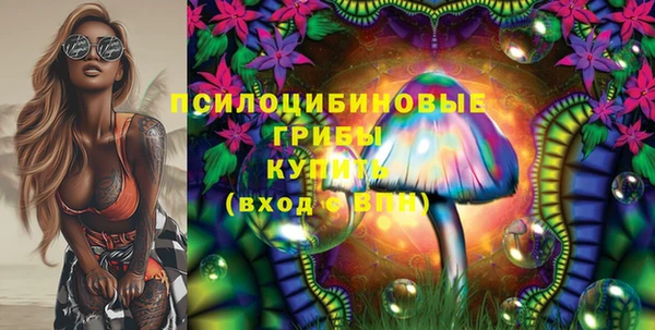 молекула духа Армянск